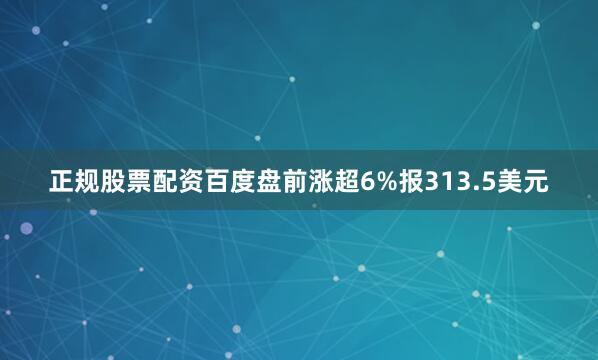 正规股票配资百度盘前涨超6%报313.5美元