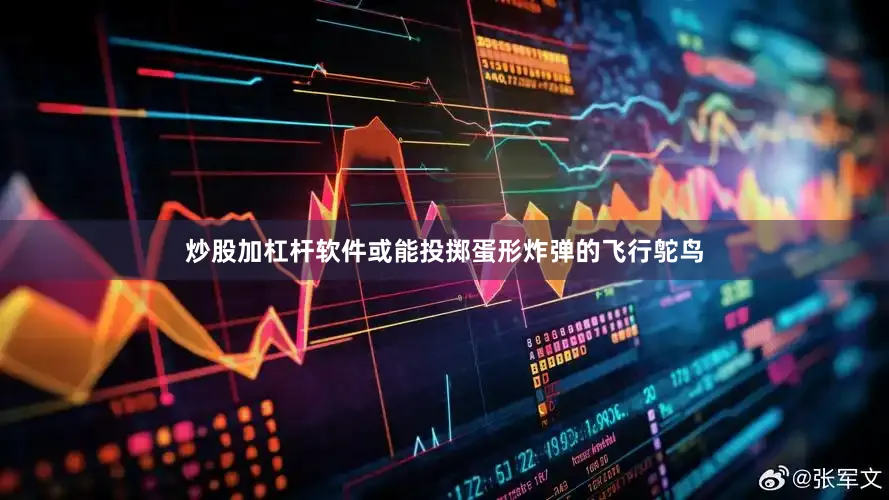 炒股加杠杆软件或能投掷蛋形炸弹的飞行鸵鸟