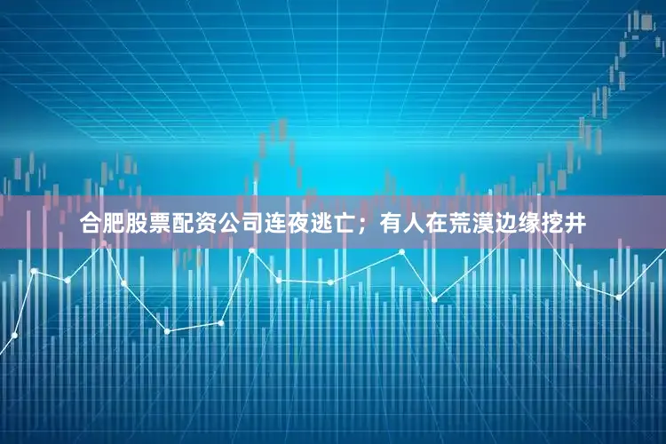 合肥股票配资公司连夜逃亡；有人在荒漠边缘挖井